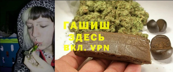 PSILOCYBIN Ельня