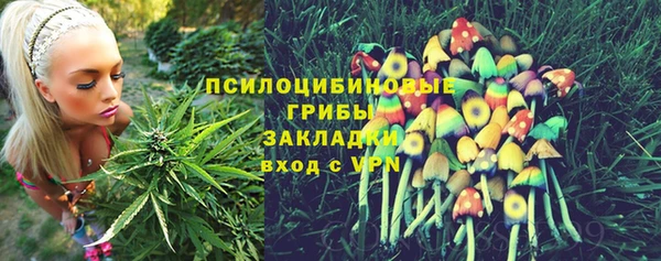 PSILOCYBIN Ельня