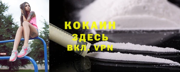 ПСИЛОЦИБИНОВЫЕ ГРИБЫ Елизово