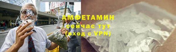 PSILOCYBIN Ельня