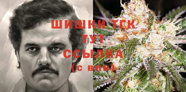 PSILOCYBIN Ельня