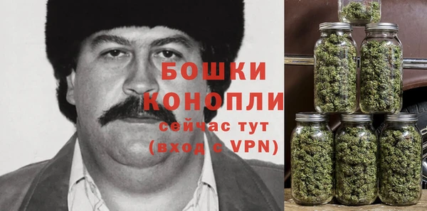 PSILOCYBIN Ельня