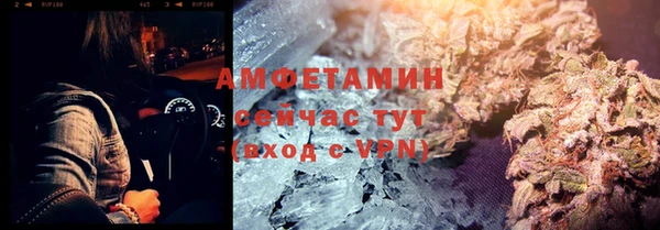 PSILOCYBIN Ельня