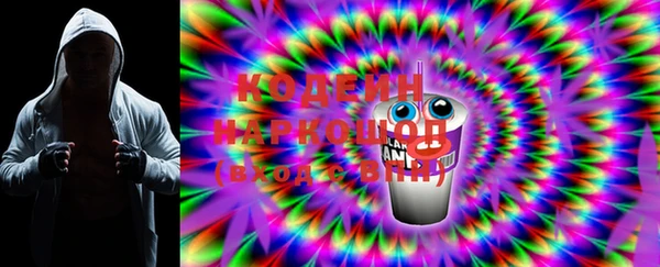 PSILOCYBIN Ельня