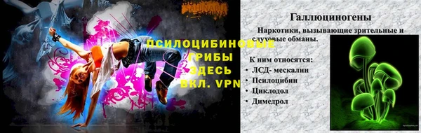 ПСИЛОЦИБИНОВЫЕ ГРИБЫ Елизово
