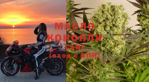 PSILOCYBIN Ельня