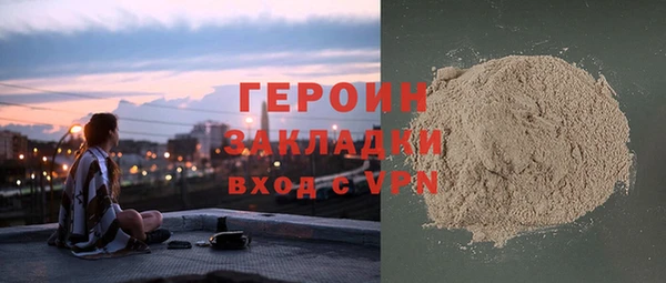 PSILOCYBIN Ельня