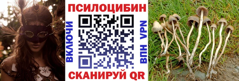Купить  Томмот  Псилоцибиновые грибы мухоморы 